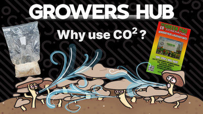 Why Use CO2 in my indoor grow?