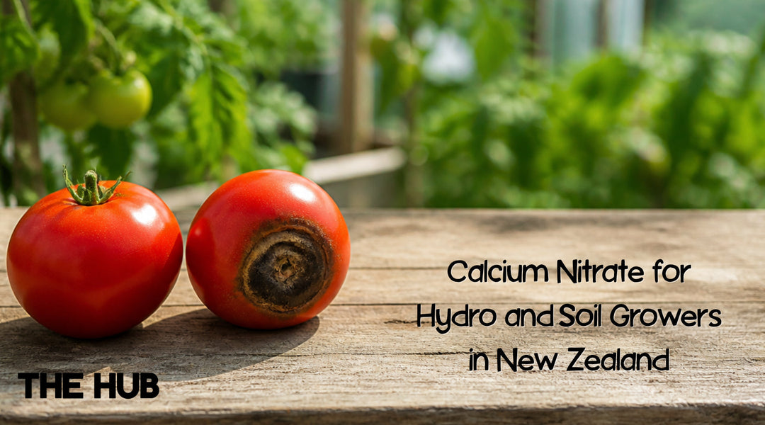 Calcium Nitrate for Hydro and Soil Growers in New Zealand