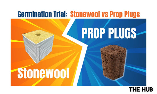 Green Culture Propagation Plugs vs Stone Wool - Starting Seeds