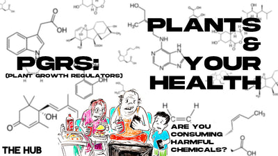 What Are PGRs?