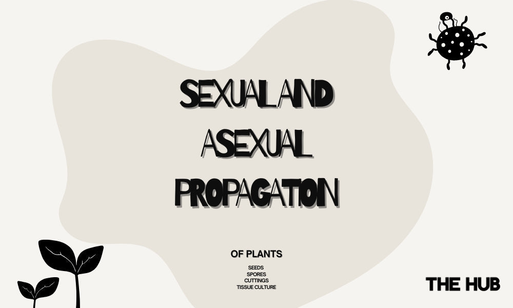 Sexual and Asexual Propagation of Plants