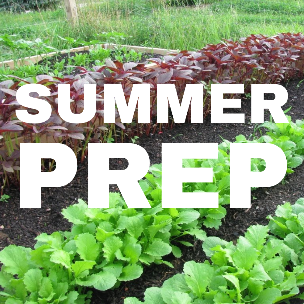 The Best Way to Prepare your Garden for Summer