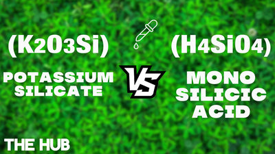 Is Silica Good For Plants & Should I Be Using It On My Crop?