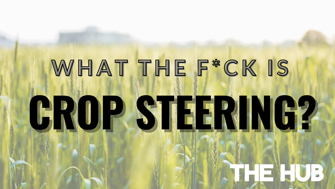 What the F*CK is Crop steering?
