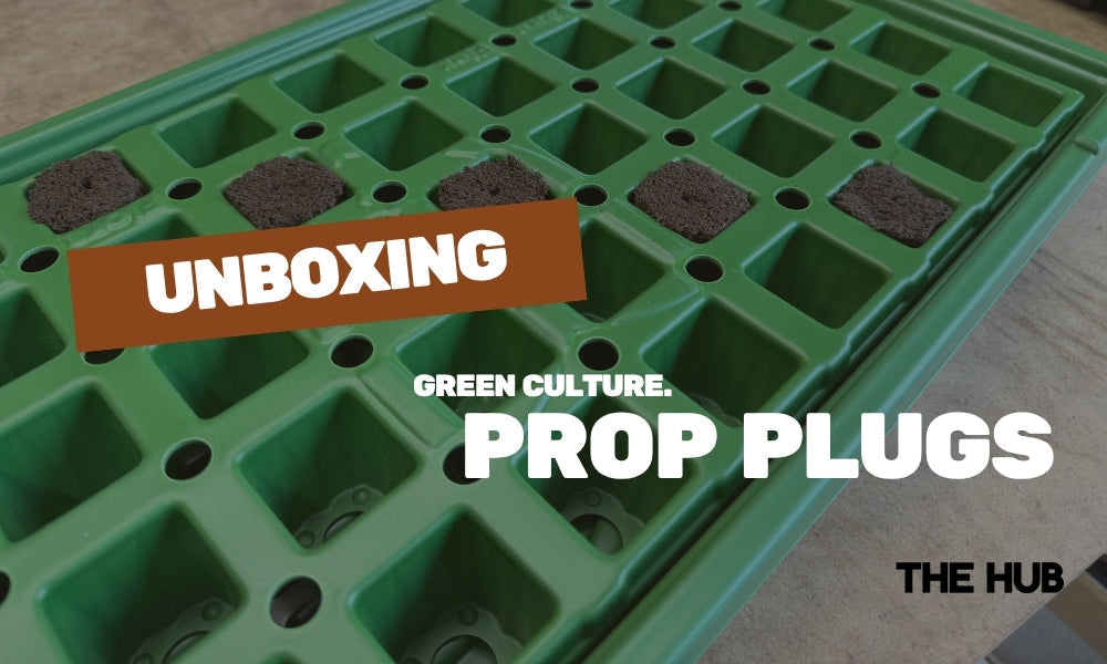 Unboxing: Green Culture Prop Plugs