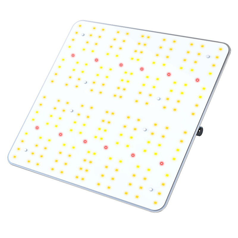 Flexstar - PB Quantum Board 120w
