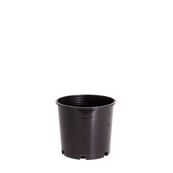 Plastic Plant Pot - 2.5L NZ Made