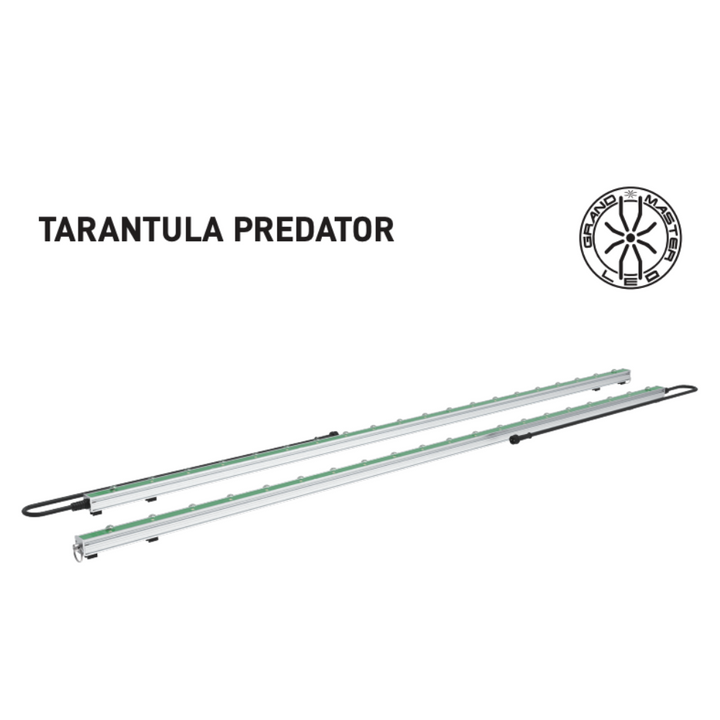 Grand Master (GML) - IPM Predator Bars 2x 5w