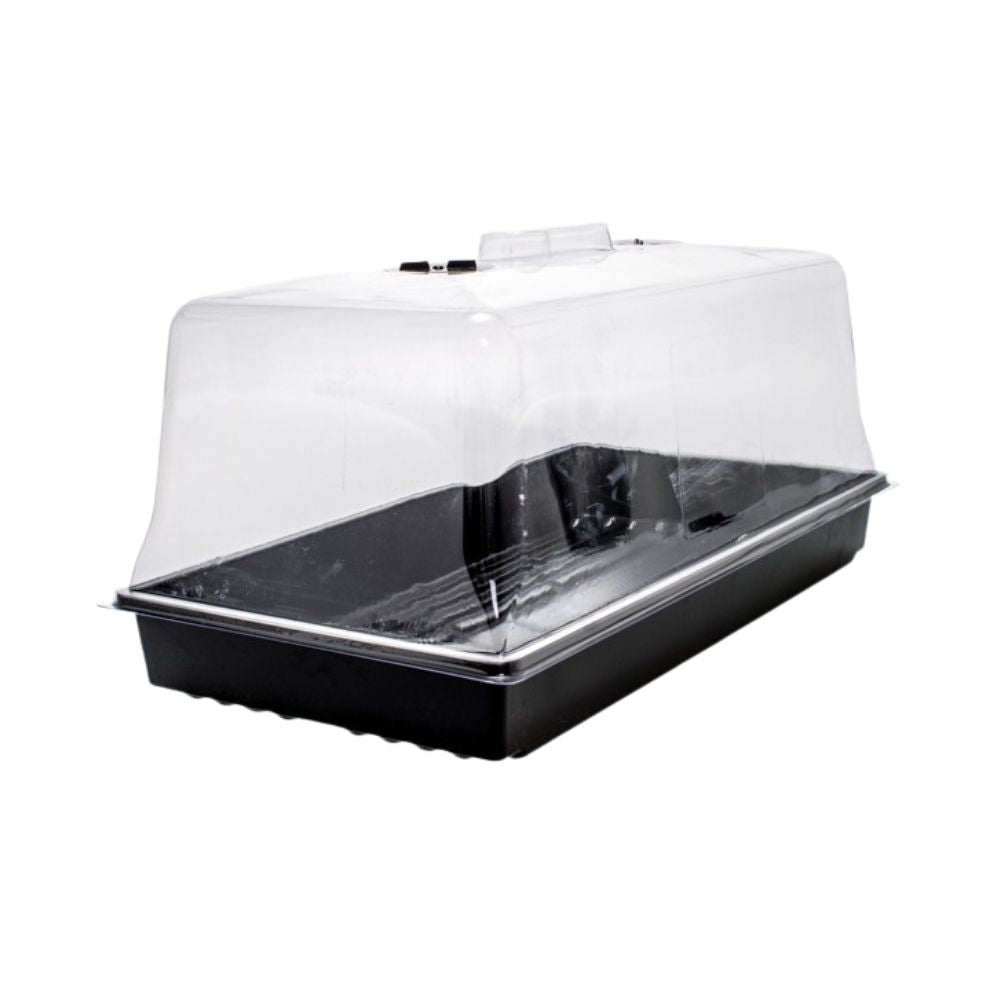 Propagation Dome & Tray (Plus Insert Tray) - 530x270x26