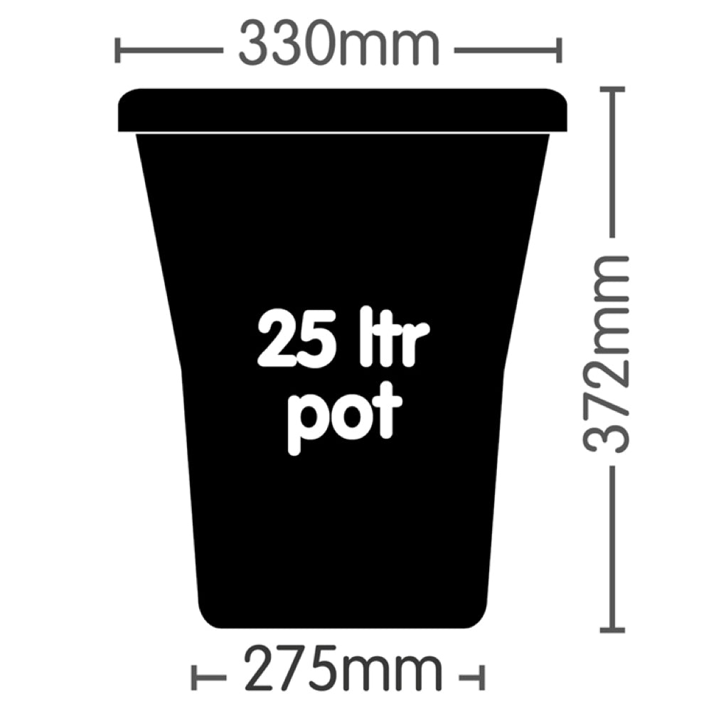 Autopot - XL Single Pot (25l)