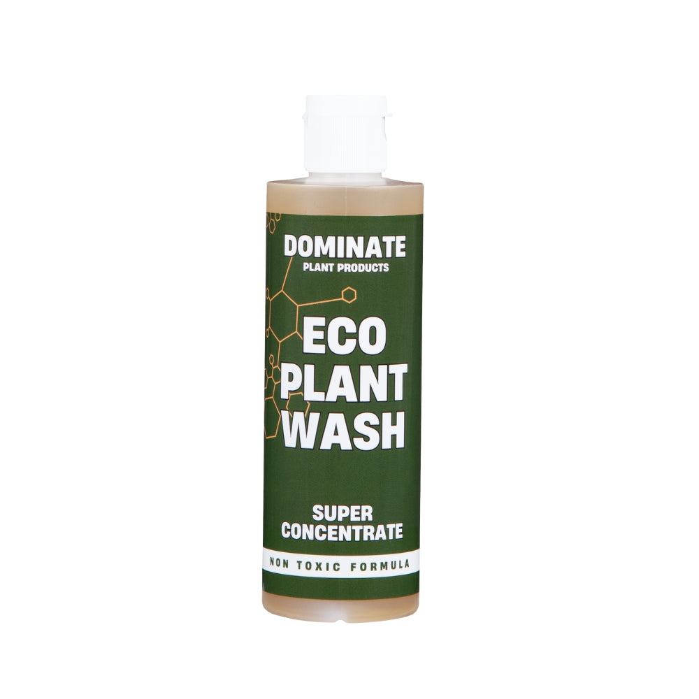 Dominate - Eco Plant Wash (NZ)