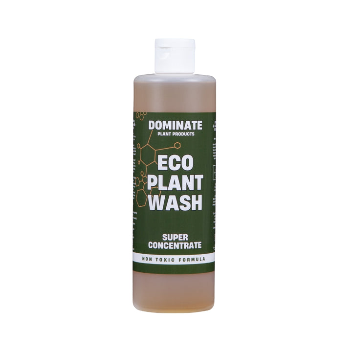 Dominate - Eco Plant Wash (NZ)