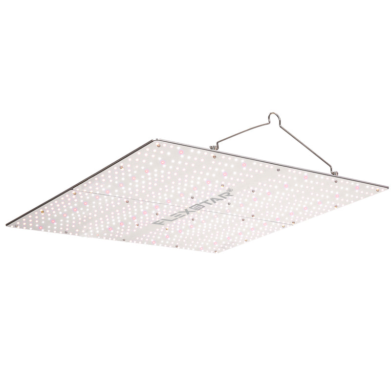 Flexstar - PB Quantum Board 480w