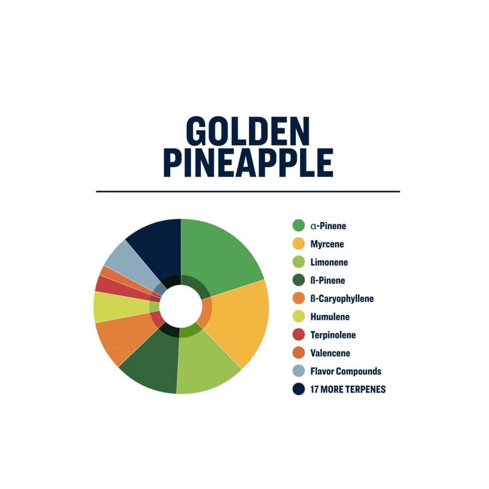 True Terps - Golden Pineapple (FREE SHIPPING!)