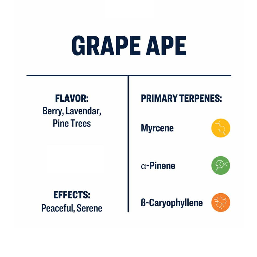 True Terps - Grape Ape (FREE SHIPPING!)
