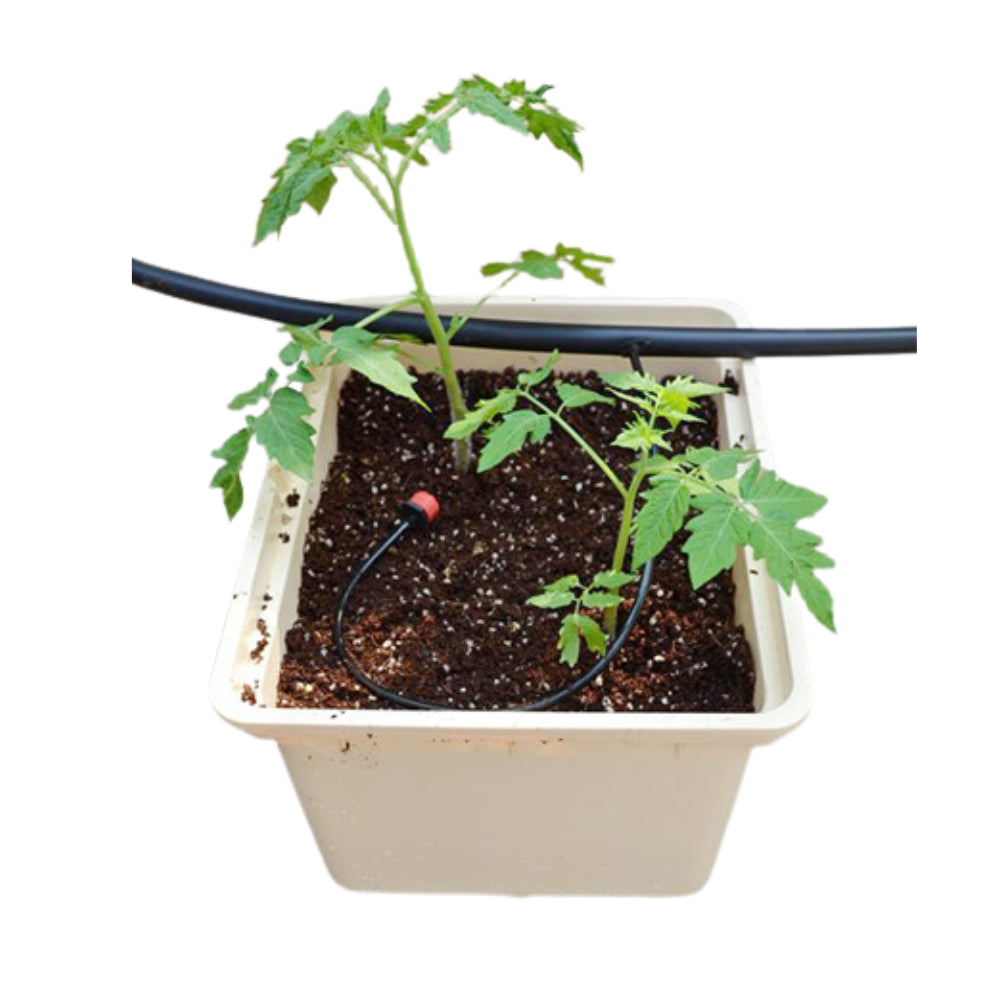 Growers Hub - Dutch Buckets / Bato Buckets 4 Pack (Cream)