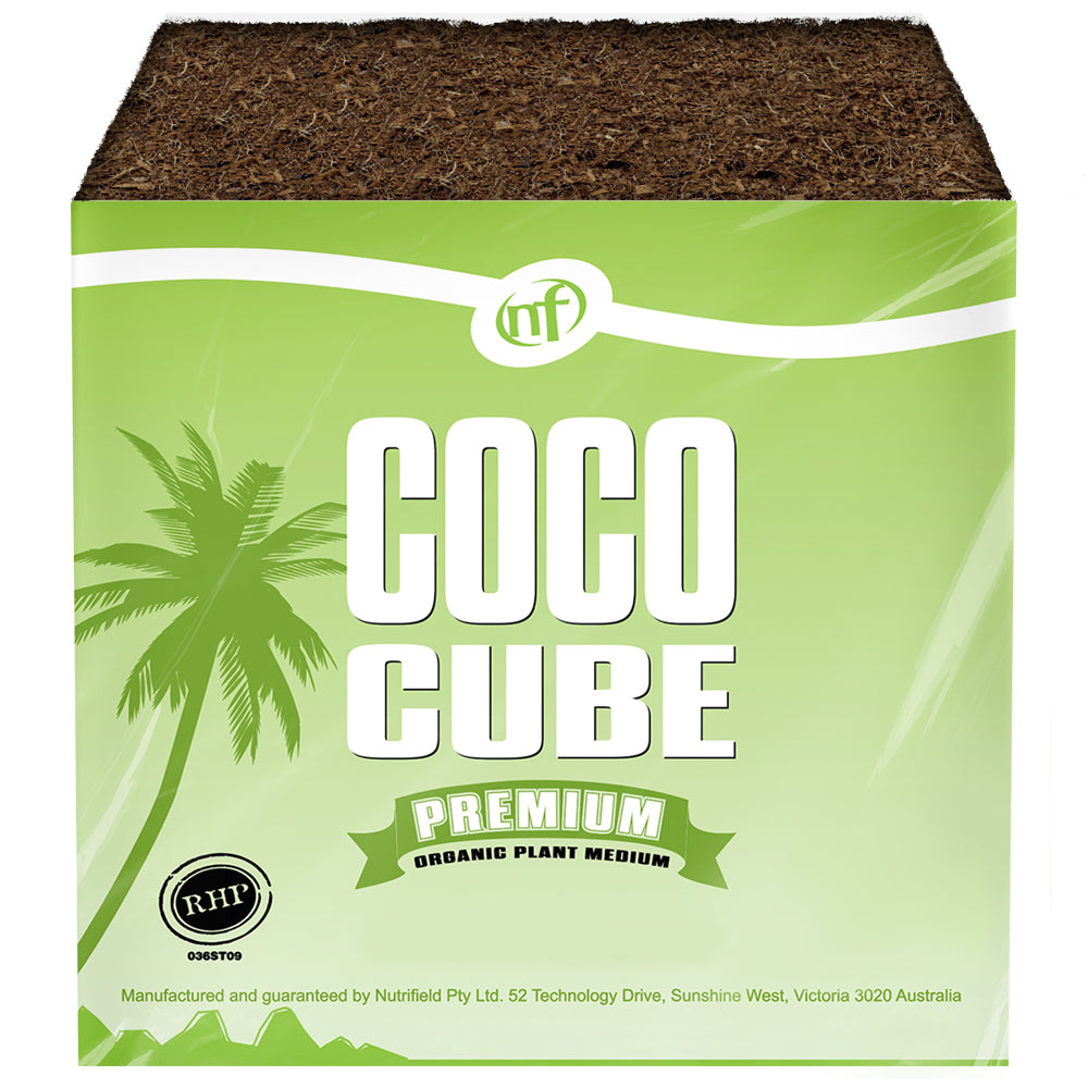 NF - Coco Cube 5.8L / 1.53gal