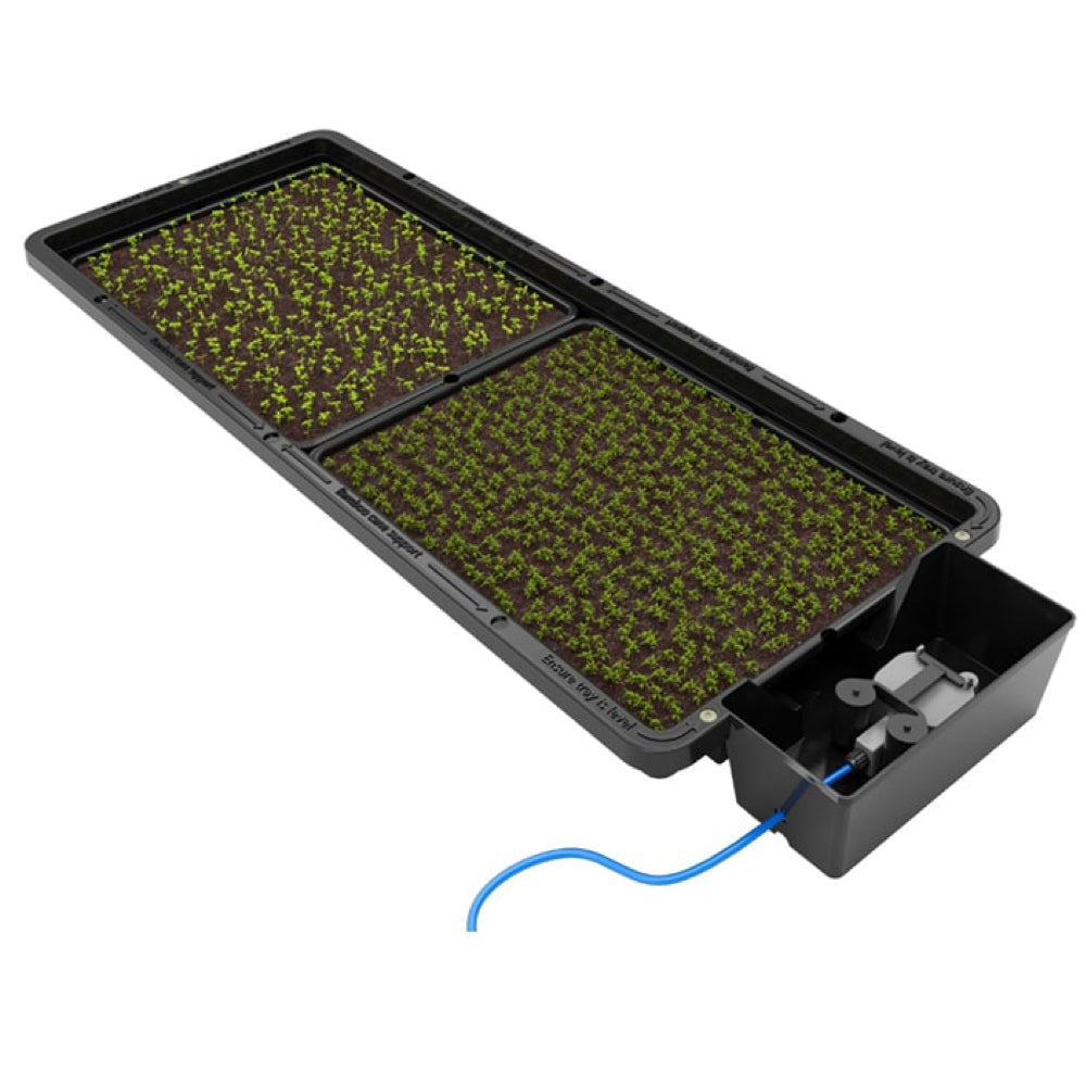 Auto Pot Stand Autopot - Tray 2 Grow – Growers Hub