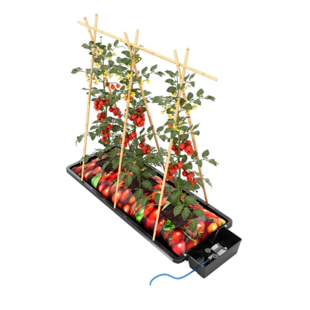 Auto Pot Stand Autopot - Tray 2 Grow – Growers Hub