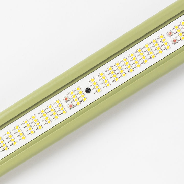 Treegers - 650w Full Spectrum Led