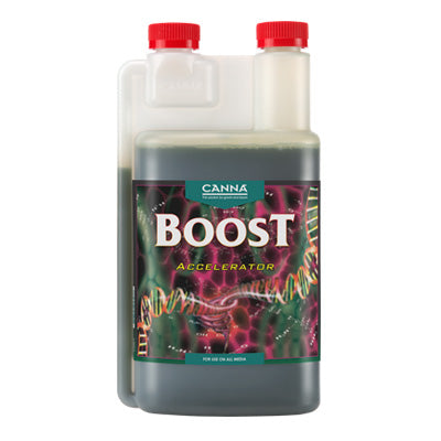 Canna - Boost