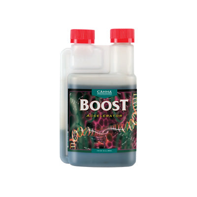 Canna - Boost