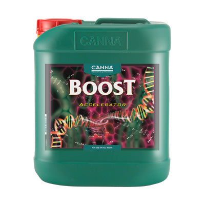 Canna - Boost