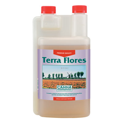 Canna - Terra Flores