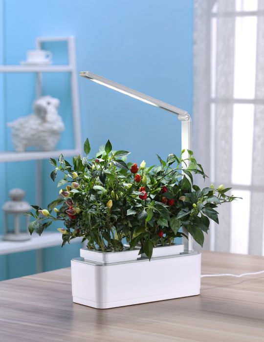 Mr Fothergills - Hydro Garden Kit
