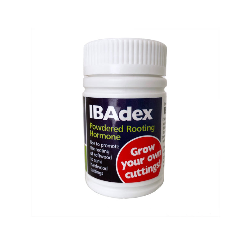 Powdered Rooting Hormone - IBAdex 25g