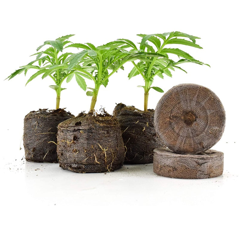 Jiffy Pellet (44mm) Packs