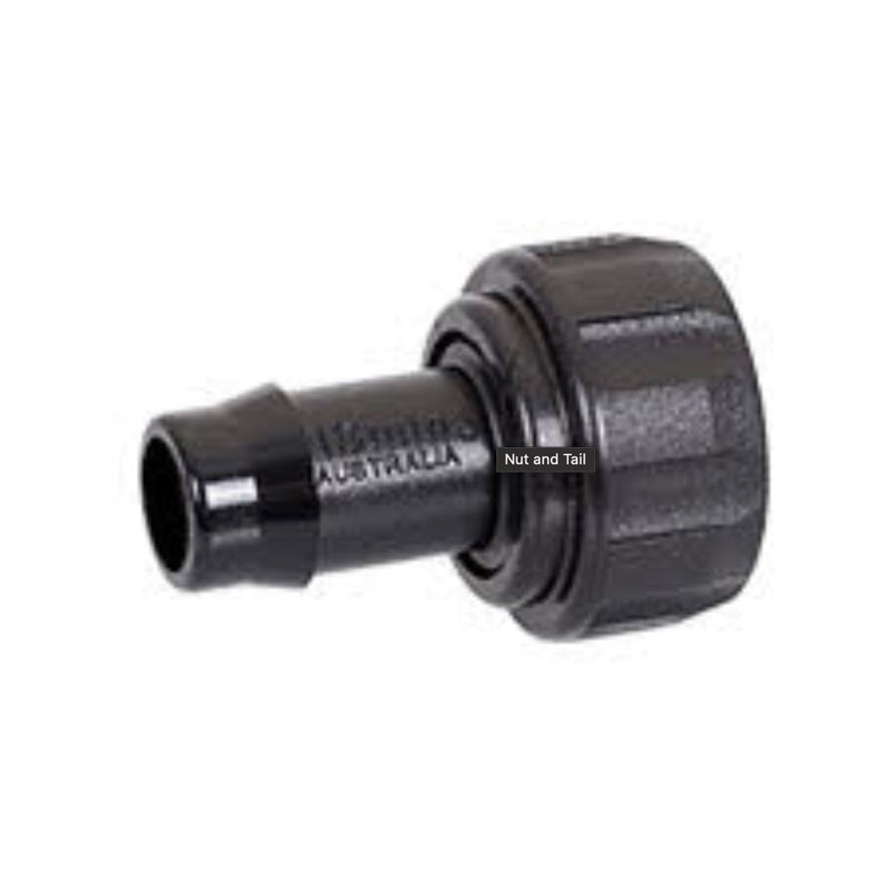 Nut & Tail Bsp Director 3/4inch - 19mm Outlet